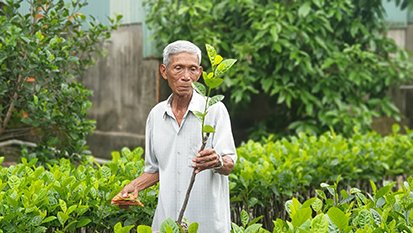 Nâng chất lượng giống cây trồng, vật nuôi