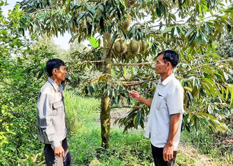Dân đồng thuận, ắt thành công