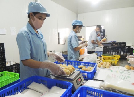 Cải thiện môi trường đầu tư, hỗ trợ doanh nghiệp tháo gỡ khó khăn
