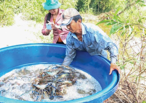 Hình thành, hoàn thiện khung định hướng cho sự phát triển của Kiên Giang
