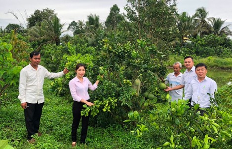Chăm lo người nghèo