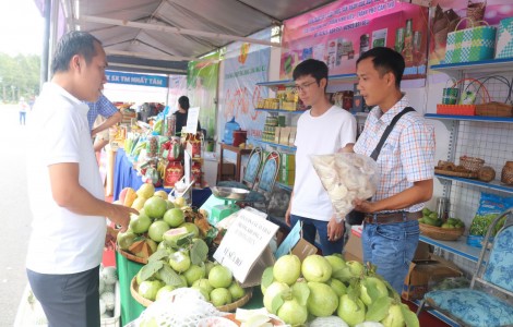 Hỗ trợ hợp tác xã sản xuất gắn tiêu thụ