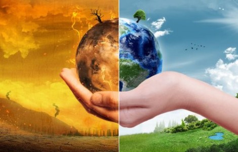 Mất đa dạng sinh học đang đẩy nhiều nước đến bờ vực phá sản