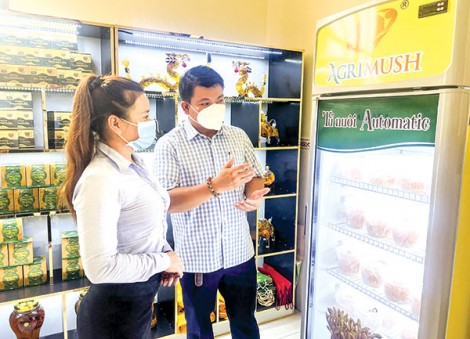 Hợp tác xã phát triển kinh doanh qua môi trường số