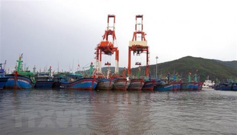 Chủ động ứng phó với áp thấp nhiệt đới có khả năng mạnh lên thành bão