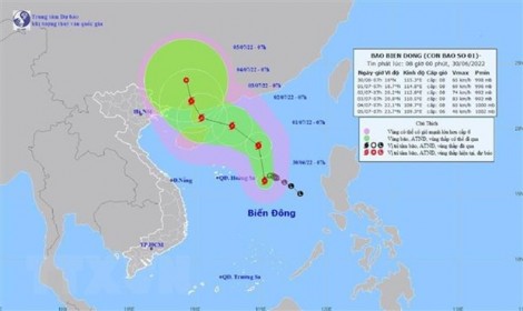 Áp thấp nhiệt đới trên Bắc Biển Đông mạnh lên thành bão số 1