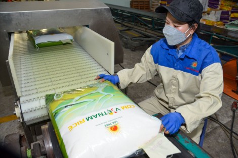 Xuất khẩu gần 500 tấn gạo thương hiệu “Cơm ViệtNam Rice” sang Châu Âu