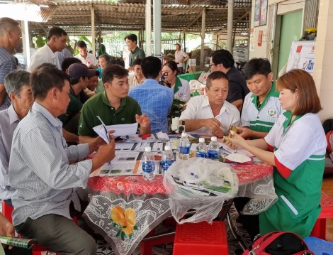 Bệnh viện Cây ăn quả hỗ trợ nông dân Cần Thơ phòng trị sâu bệnh trên cây ăn trái