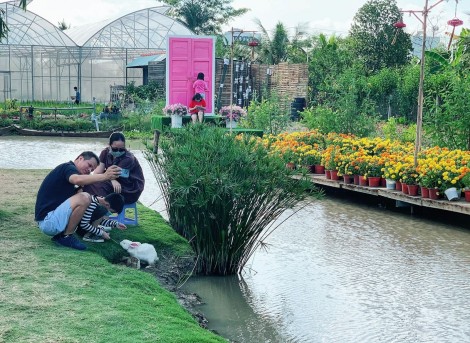 Các điểm đến du lịch ở Cái Răng