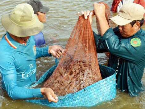 Ứng dụng khoa học và công nghệ phát triển bền vững ngành Thủy sản