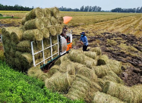 Lợi ích "kép" từ nông nghiệp tuần hoàn