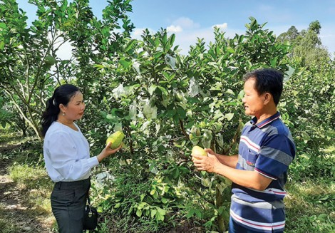 Nỗ lực chăm lo đời sống nhân dân