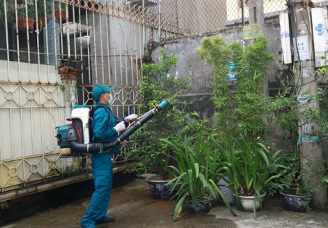 Ghi nhận hơn 11.000 trường hợp mắc sốt xuất huyết trong vòng 1 tuần