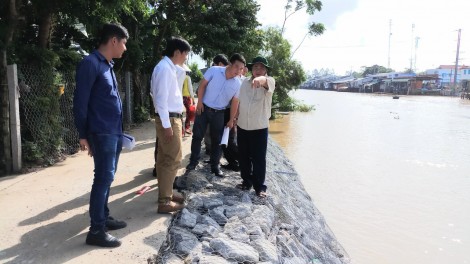 Tìm giải pháp khắc phục sạt lở tại bờ kênh Cái Sắn