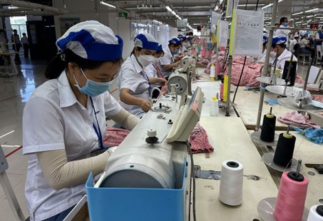 Triển khai kế hoạch thực hiện Hiệp định Đối tác Kinh tế Toàn diện Khu vực