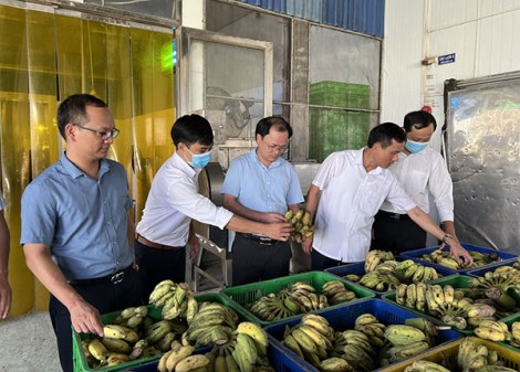Tìm hướng thúc đẩy xuất khẩu nông sản qua các cửa khẩu tỉnh Lạng Sơn