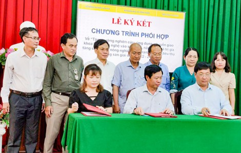 Tập trung tháo gỡ các khó khăn, thúc đẩy nâng cao hiệu quả sản xuất nông nghiệp