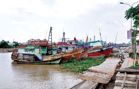 Chi phí chuyến biển tăng, tàu cá giảm lãi