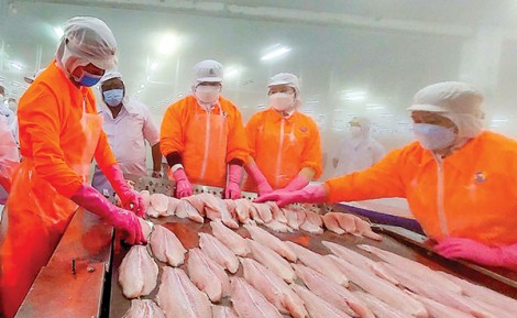 Ðồng hành, hỗ trợ kịp thời cho nhà đầu tư, doanh nghiệp