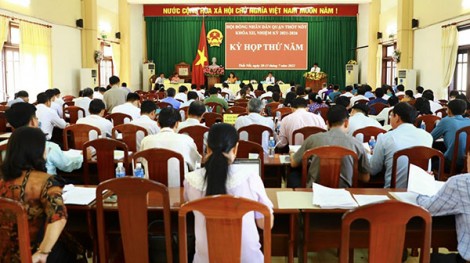 Thốt Nốt: Tập trung phát triển các ngành kinh tế mũi nhọn, những sản phẩm có lợi thế