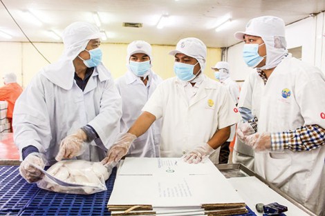 Khơi thông các nguồn lực cho phục hồi kinh tế