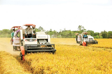 Hợp lực bảo vệ các vựa lương thực thế giới