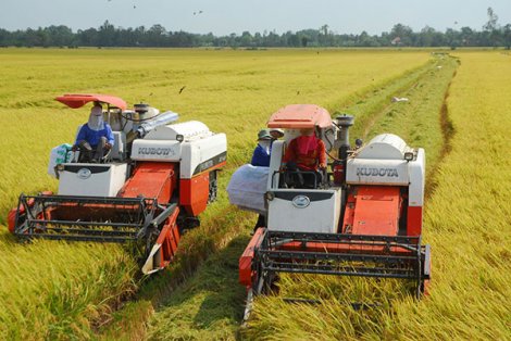 Tăng sức chống chịu cho ĐBSCL trước biến đổi khí hậu