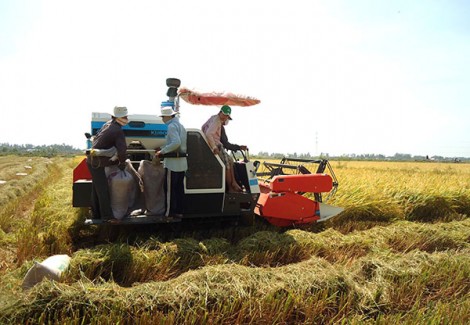 Vĩnh Thạnh phấn đấu đến năm 2025 có 100% xã nông thôn mới nâng cao