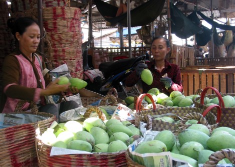 Tiền Giang nỗ lực đưa xoài cát Hòa Lộc xuất khẩu