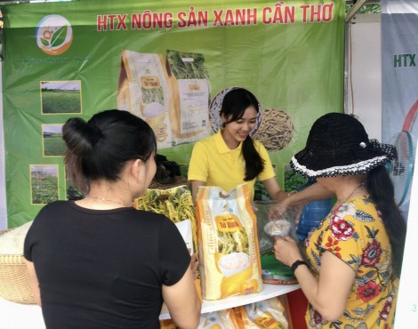 Thành lập mới 9 HTX thương mại - dịch vụ