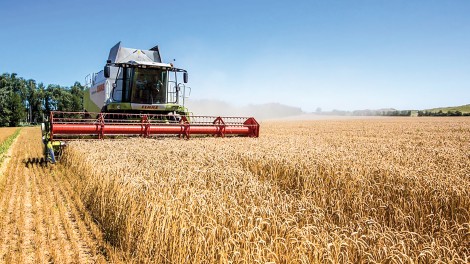 Ukraine cần xuất khẩu 50 triệu tấn ngũ cốc
