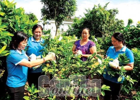 Gắn kết phụ nữ với tổ chức Hội