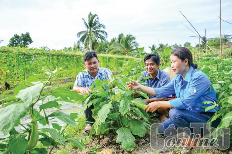 Khởi nghiệp thành công từ nông nghiệp