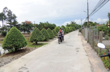 Thay đổi tư duy, linh hoạt trong xây dựng nông thôn mới