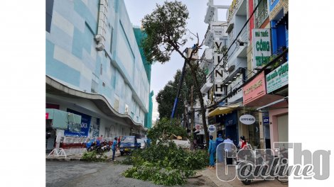 Đề phòng mưa giông gây ngập lụt, sập đổ nhà dân, cây xanh đô thị