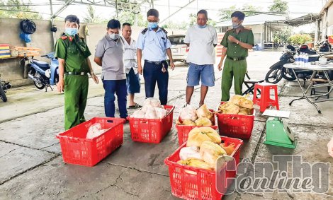 Cần trọng tâm, trọng điểm, kịp thời và hiệu quả