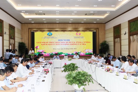 Giải pháp thúc đẩy sản xuất và kiểm soát chất lượng giống cá tra