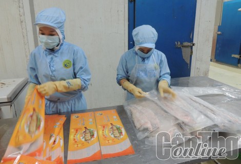 Ứng dụng cẩm nang quản trị doanh nghiệp nhỏ và vừa vào thực tế sản xuất, kinh doanh