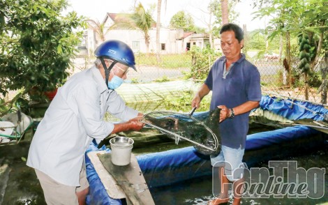 Đa dạng chủng loại, giá một số mặt hàng tăng cao