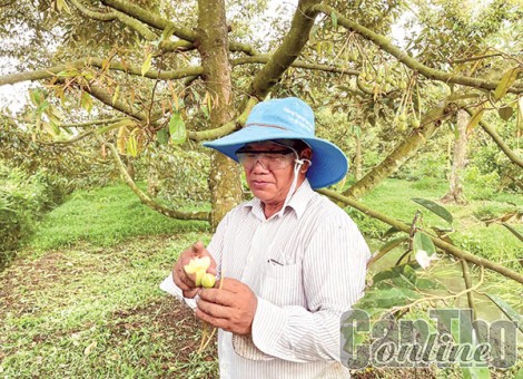 Nâng cao hiệu quả chuyển đổi cây trồng