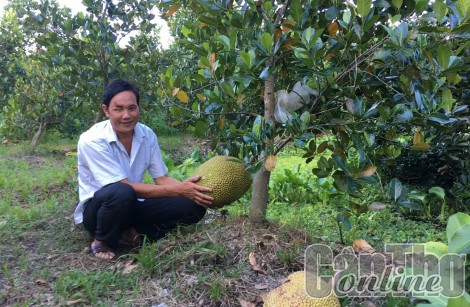 Có việc làm, người mù tự tin hơn trong cuộc sống