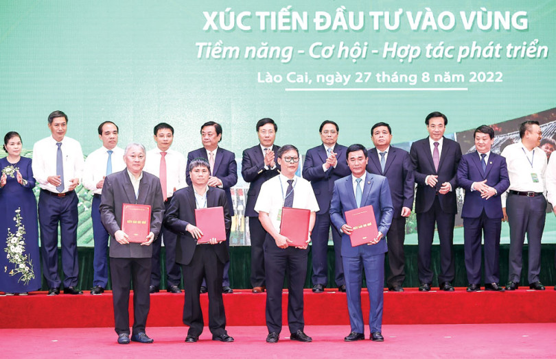 Thực hiện Nghị quyết 11-NQ/TW cần có cách tiếp cận tổng thể gắn với giải pháp cụ thể, linh hoạt, hiệu quả, sát thực tiễn