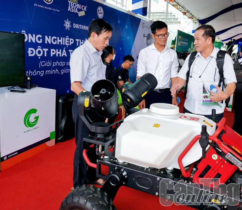Phát triển nguồn nhân lực phục vụ chuyển đổi số