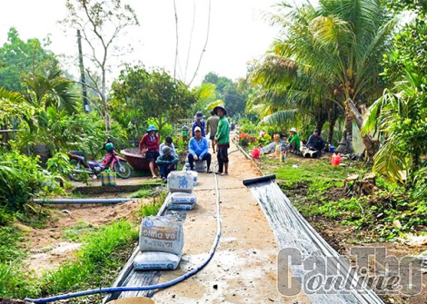 Trường Xuân B đưa nghị quyết vào cuộc sống