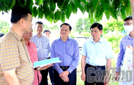 Tập trung chỉ đạo triển khai các dự án xây dựng đường cao tốc