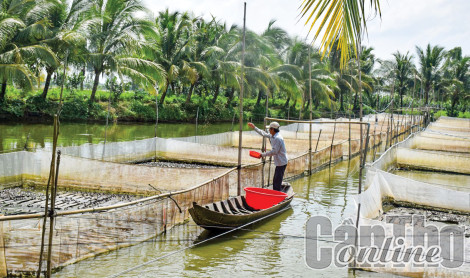 Nâng cao chất lượng, khả năng cạnh tranh sản phẩm nông lâm thủy sản