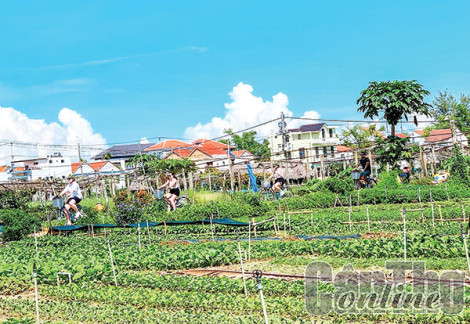 LÀNG RAU TRÀ QUẾ - Khi điểm đến xanh cũng là di sản
