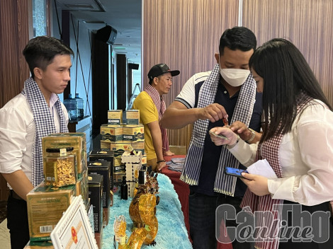 Kết nối thương mại điện tử TP Cần Thơ và các tỉnh ĐBSCL
