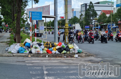 Bình Thủy sẽ xử lý nếu đơn vị trúng thầu không thu gom rác nghiêm túc