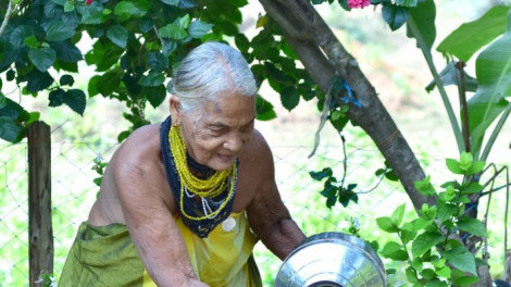 Người phụ nữ mang lại hơi thở cho rừng